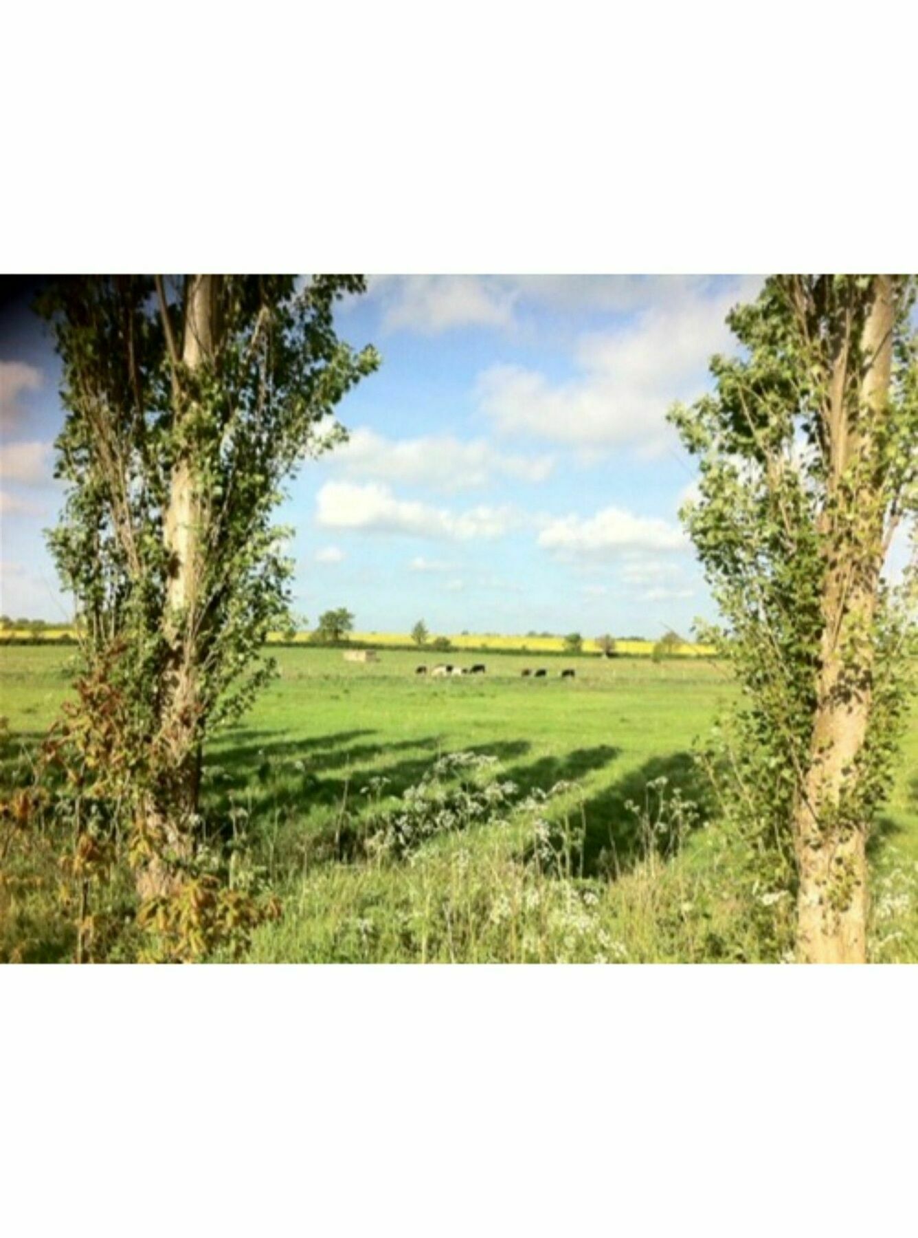 Long Melford Accommodation, Old Stables Екстериор снимка